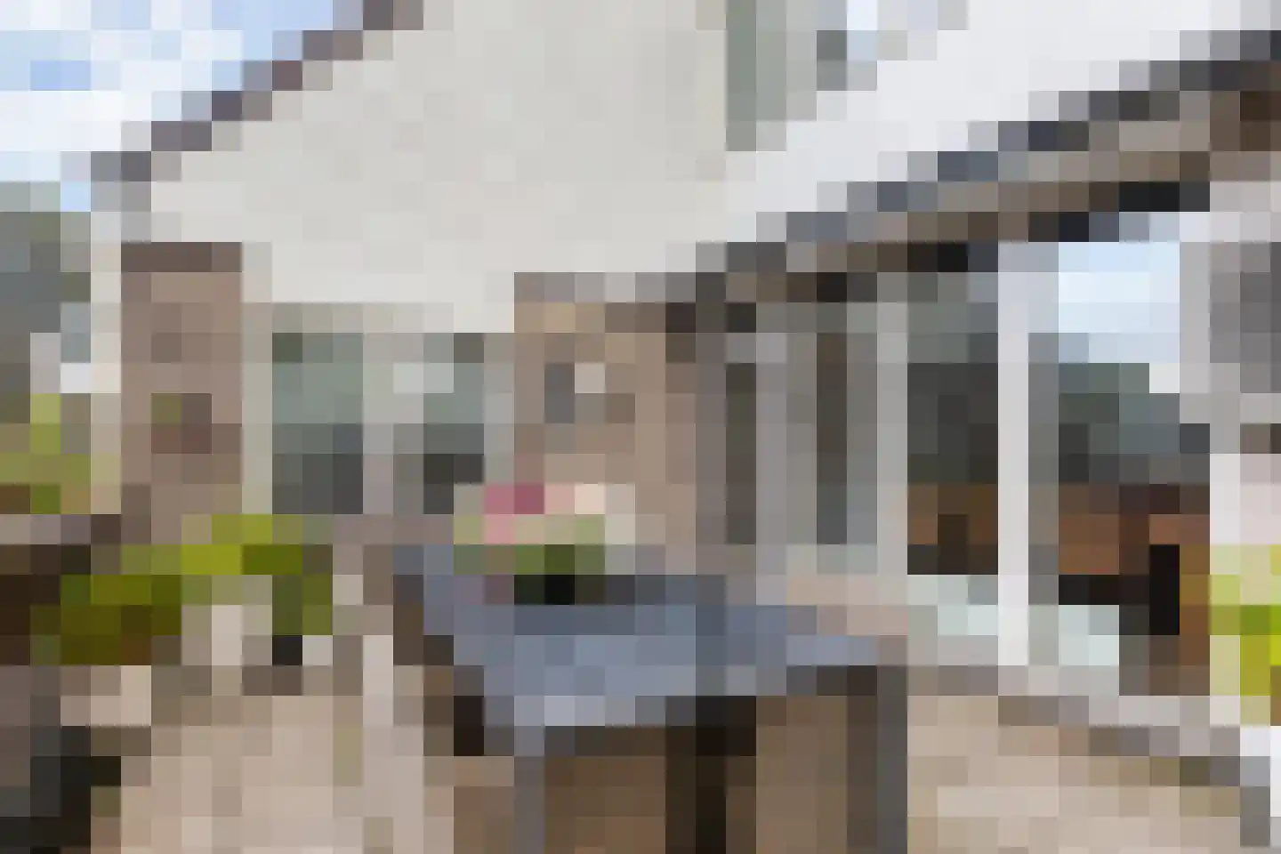 Floris Burgwal 132 Capelle aan den IJssel thumbnail 23