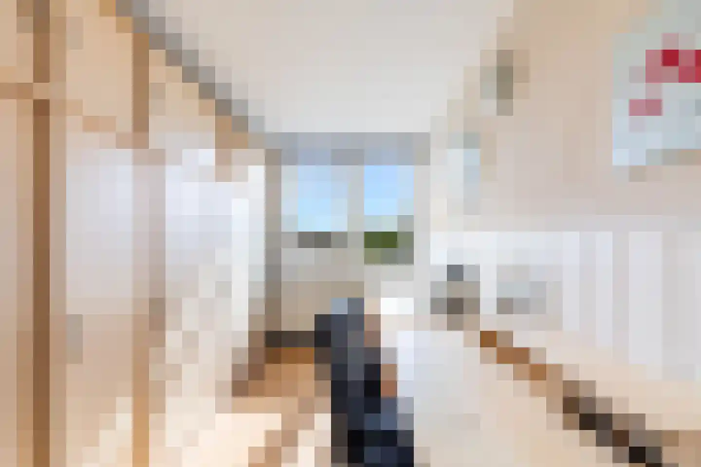 Floris Burgwal 132 Capelle aan den IJssel thumbnail 28