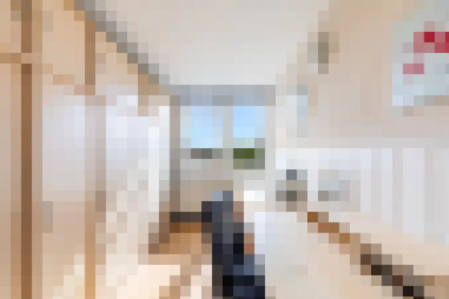 Floris Burgwal 132 Capelle aan den IJssel thumbnail 28