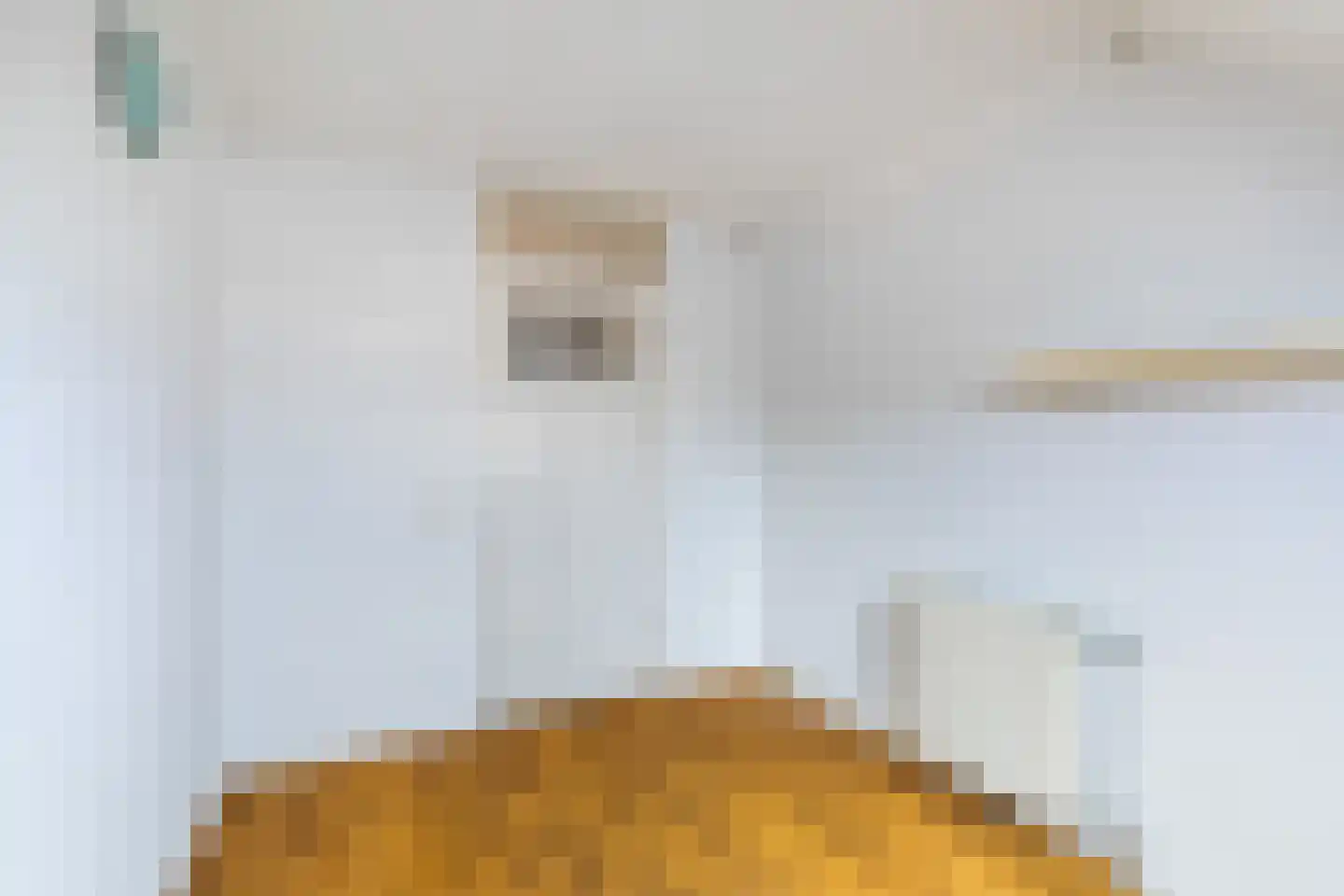 Floris Burgwal 132 Capelle aan den IJssel thumbnail 34