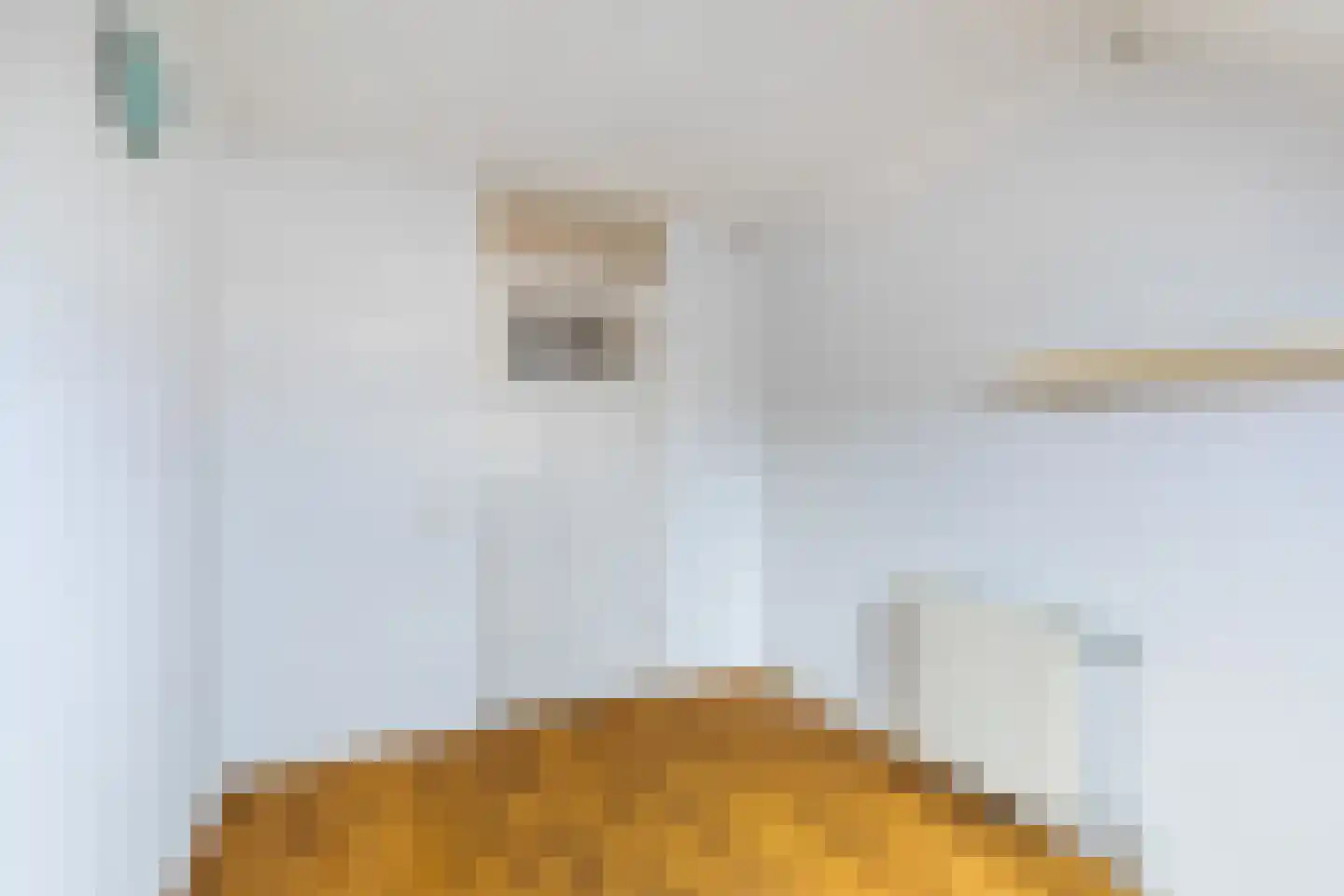 Floris Burgwal 132 Capelle aan den IJssel thumbnail 34