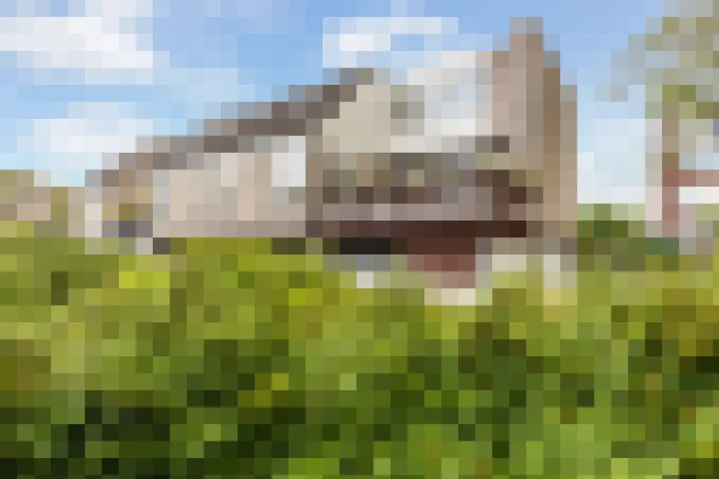 Floris Burgwal 132 Capelle aan den IJssel thumbnail 44