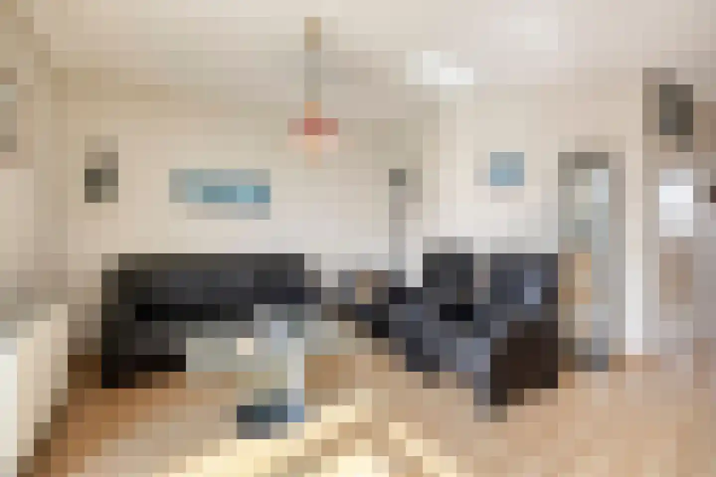 Floris Burgwal 141 Capelle aan den IJssel thumbnail 15