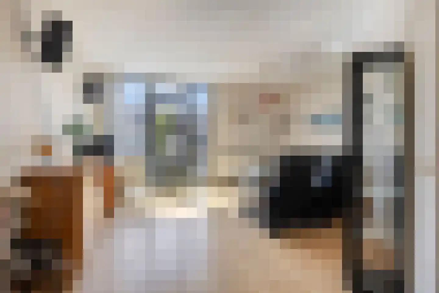 Floris Burgwal 141 Capelle aan den IJssel thumbnail 17