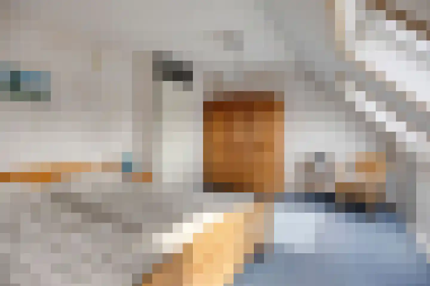 Floris Burgwal 141 Capelle aan den IJssel thumbnail 33