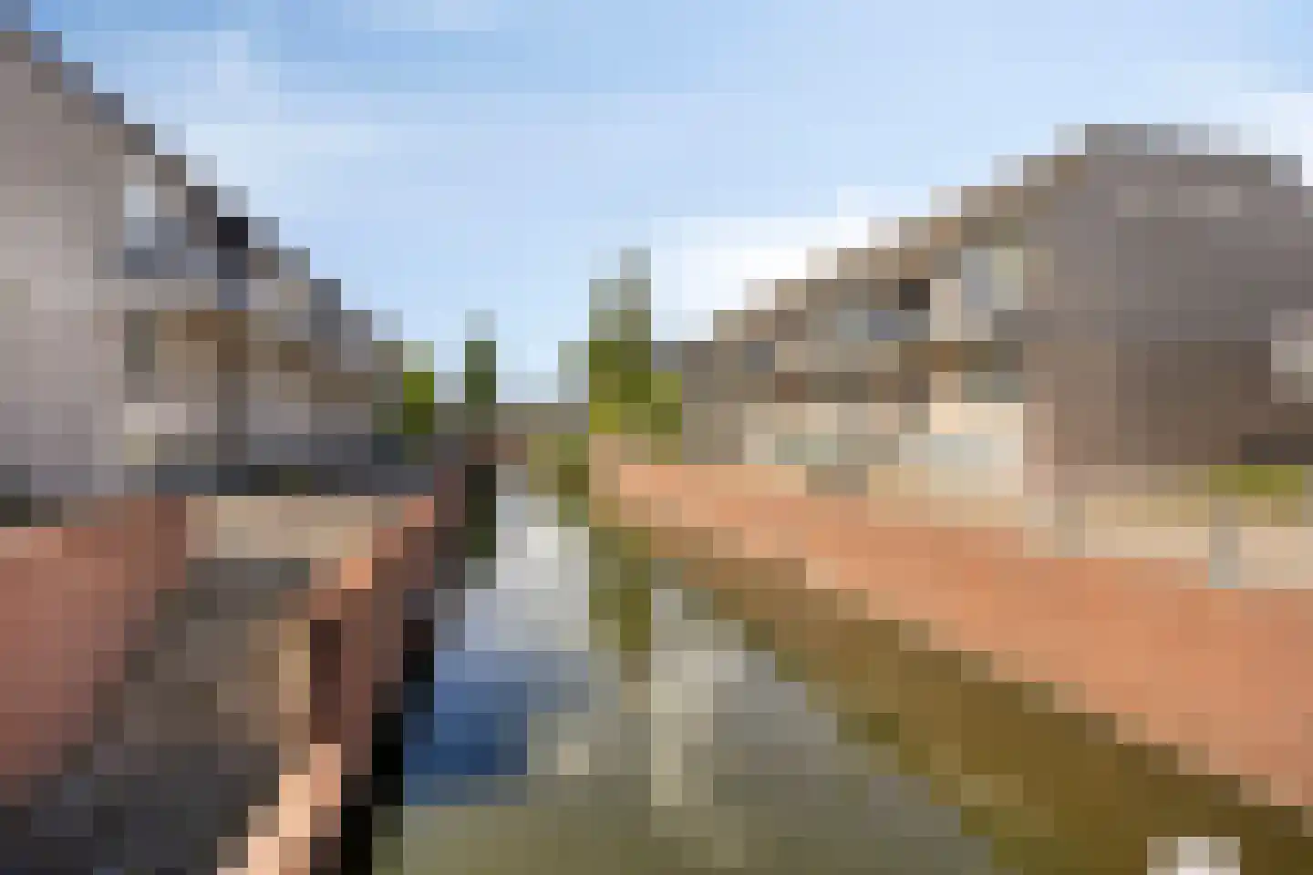 Floris Burgwal 141 Capelle aan den IJssel thumbnail 5