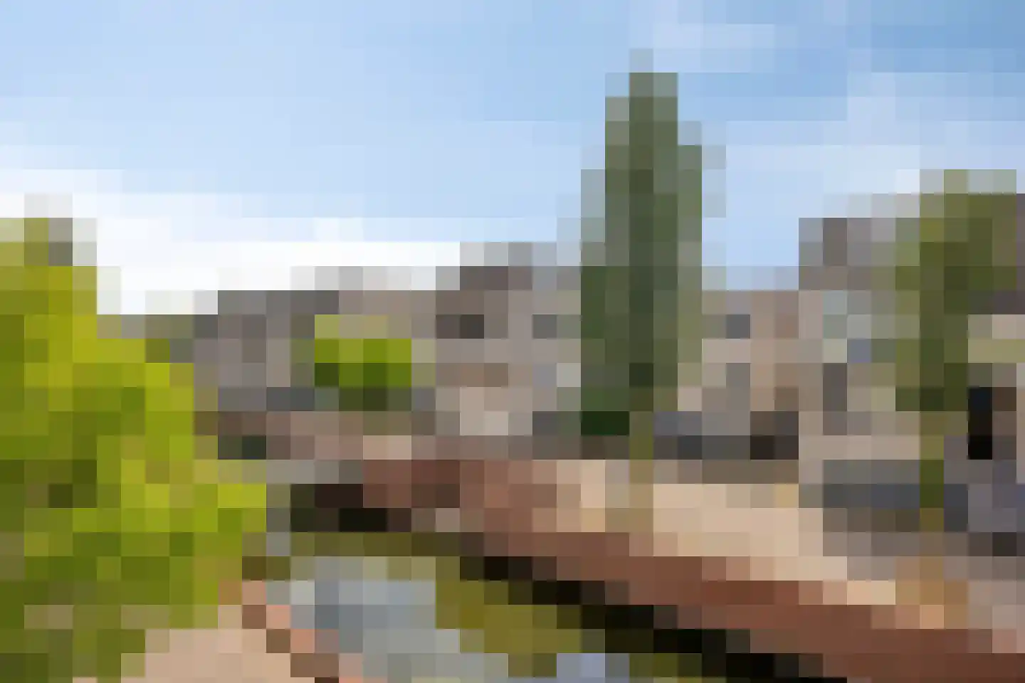Floris Burgwal 141 Capelle aan den IJssel thumbnail 8