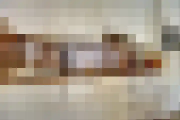 Floris Burgwal 151 Capelle aan den IJssel thumbnail 10