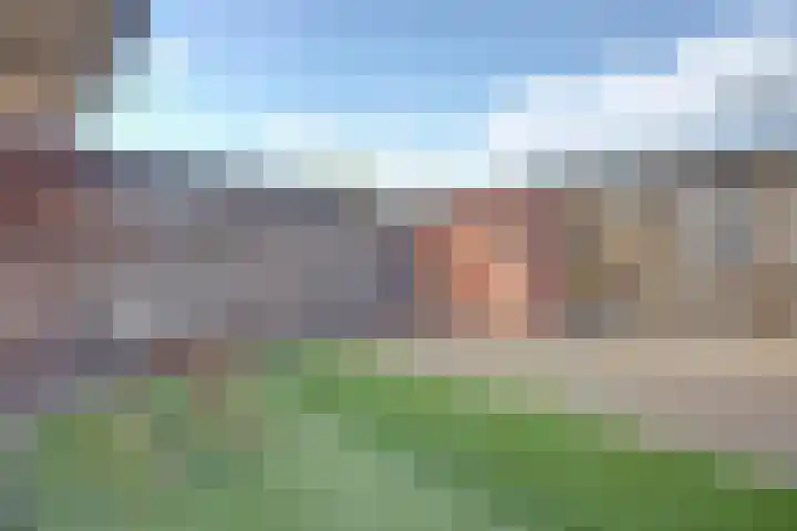 Floris Burgwal 151 Capelle aan den IJssel thumbnail 12