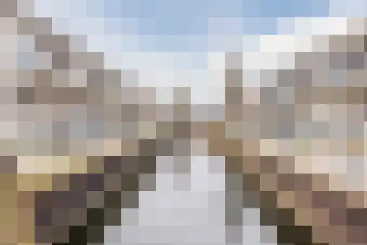 Floris Burgwal 178 Capelle aan den IJssel thumbnail 7