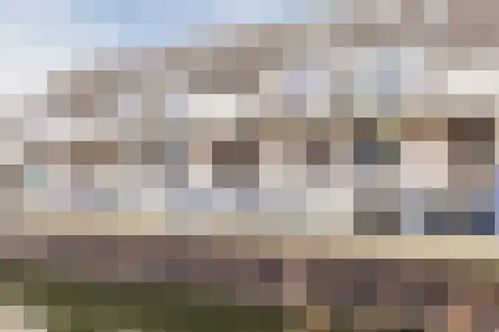 Floris Burgwal 178 Capelle aan den IJssel thumbnail 8