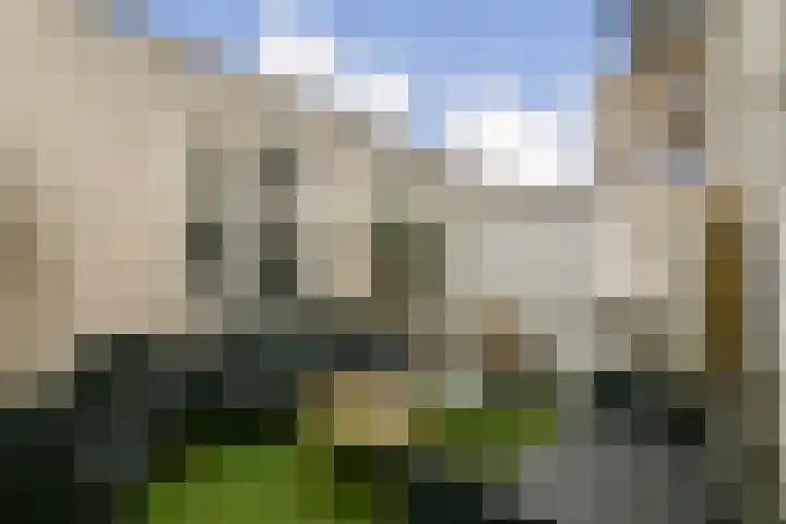 Floris Burgwal 28 Capelle aan den IJssel thumbnail 18