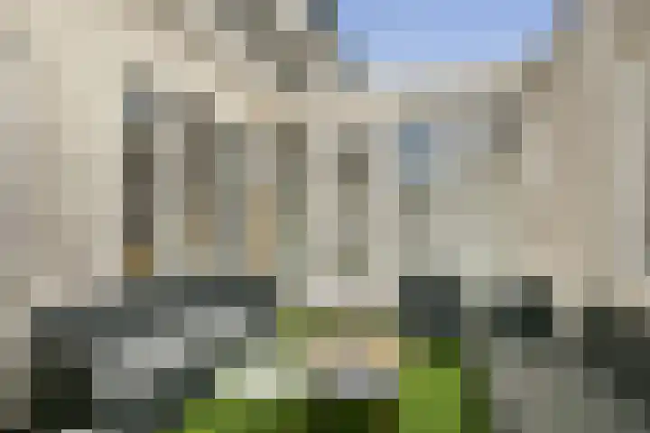 Floris Burgwal 28 Capelle aan den IJssel thumbnail 19