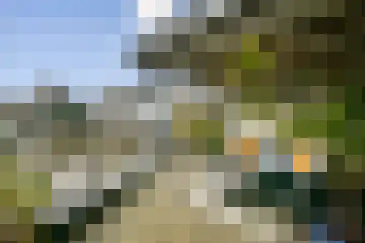 Floris Burgwal 28 Capelle aan den IJssel thumbnail 26