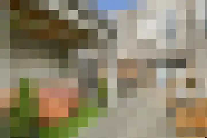 Floris Burgwal 28 Capelle aan den IJssel thumbnail 27