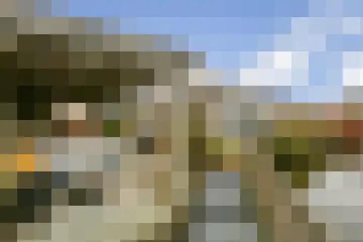 Floris Burgwal 28 Capelle aan den IJssel thumbnail 37