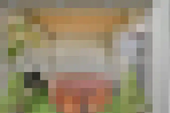 Floris Burgwal 28 Capelle aan den IJssel thumbnail 38