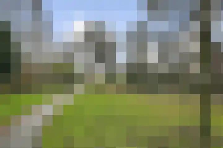 Floris Burgwal 28 Capelle aan den IJssel thumbnail 40
