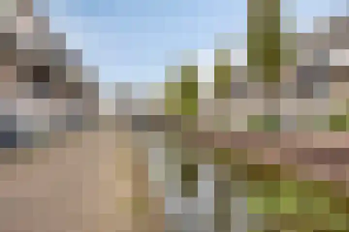 Floris Burgwal 36 Capelle aan den IJssel thumbnail 30