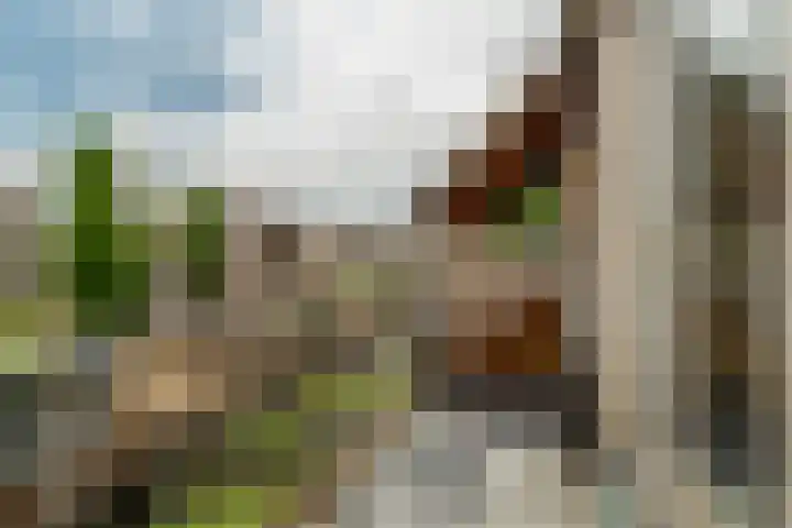 Floris Burgwal 45 Capelle aan den IJssel thumbnail 36