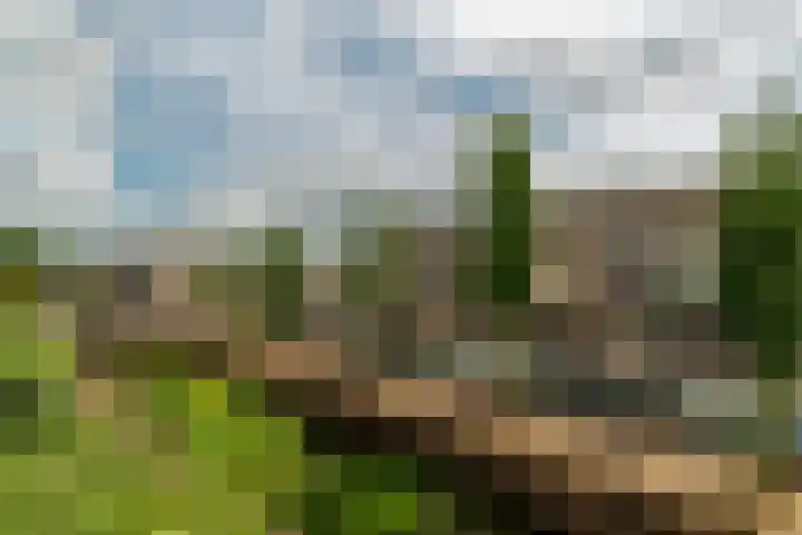 Floris Burgwal 45 Capelle aan den IJssel thumbnail 38