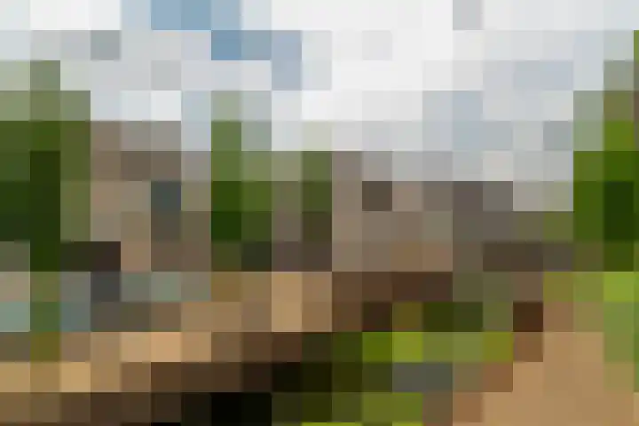 Floris Burgwal 45 Capelle aan den IJssel thumbnail 39