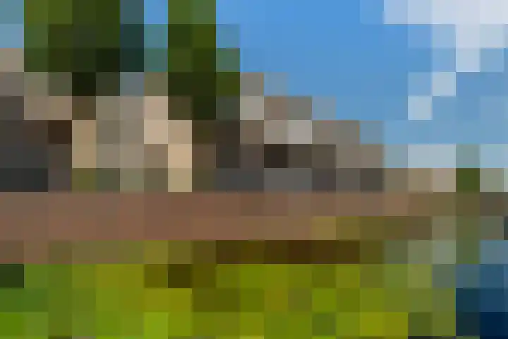 Floris Burgwal 45 Capelle aan den IJssel thumbnail 5