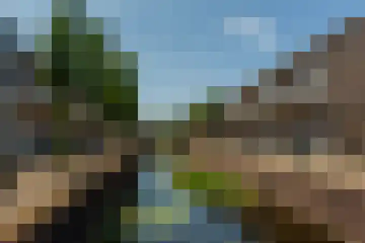 Floris Burgwal 45 Capelle aan den IJssel thumbnail 7