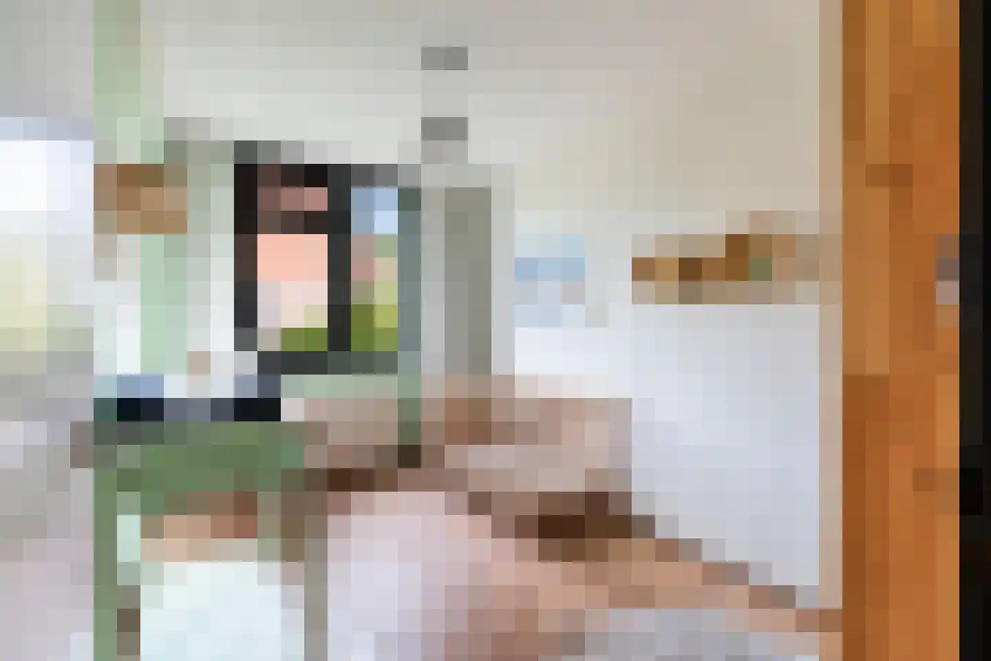 Floris Burgwal 55 Capelle aan den IJssel thumbnail 28