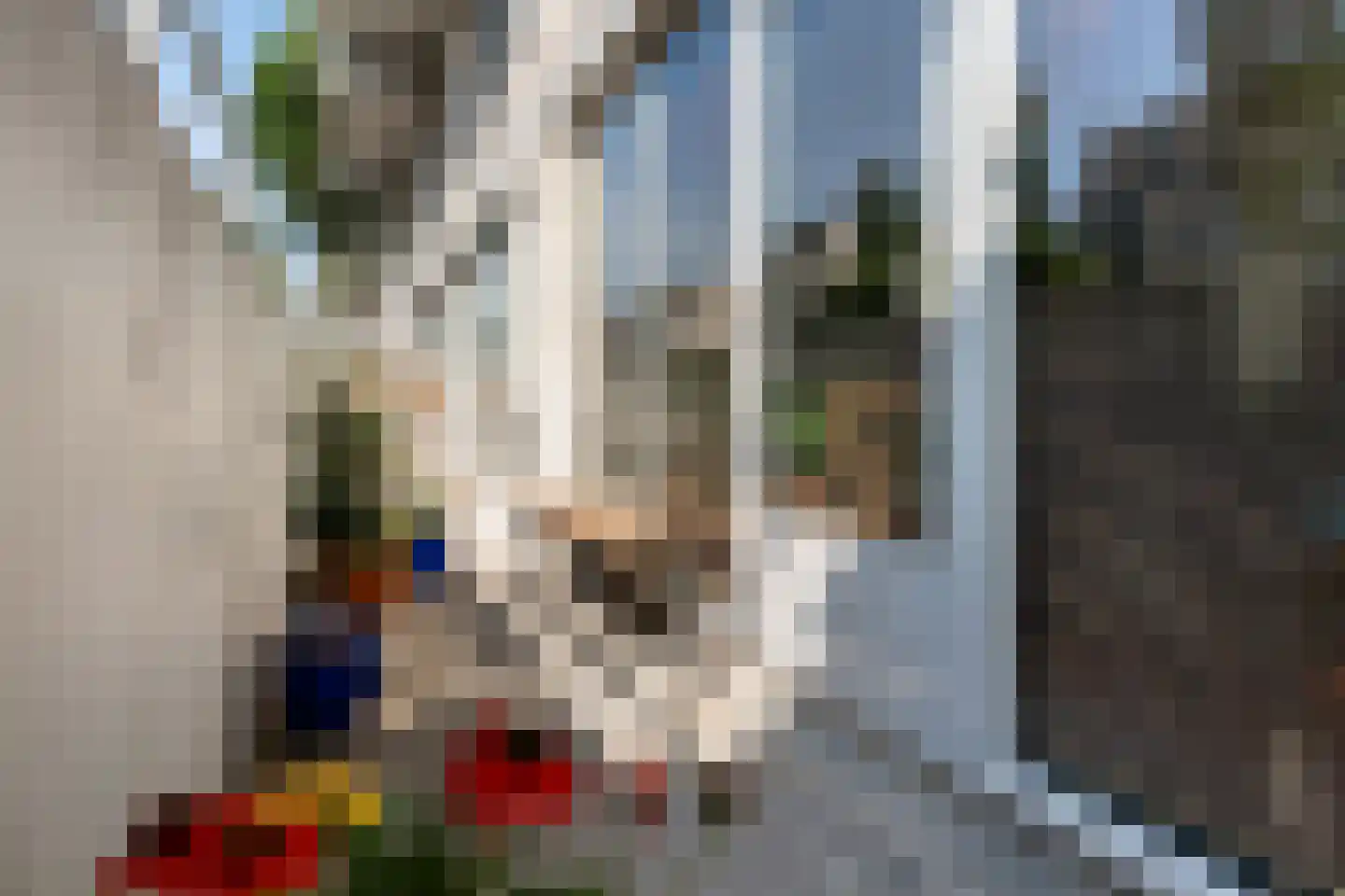 Floris Burgwal 55 Capelle aan den IJssel thumbnail 42