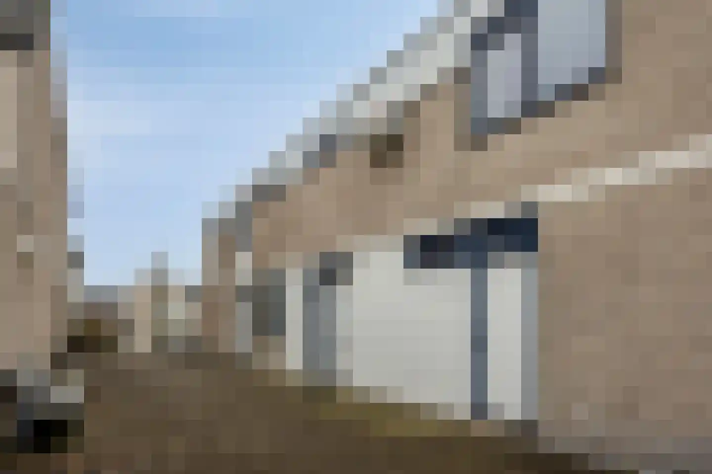 Floris Burgwal 75 Capelle aan den IJssel thumbnail 44