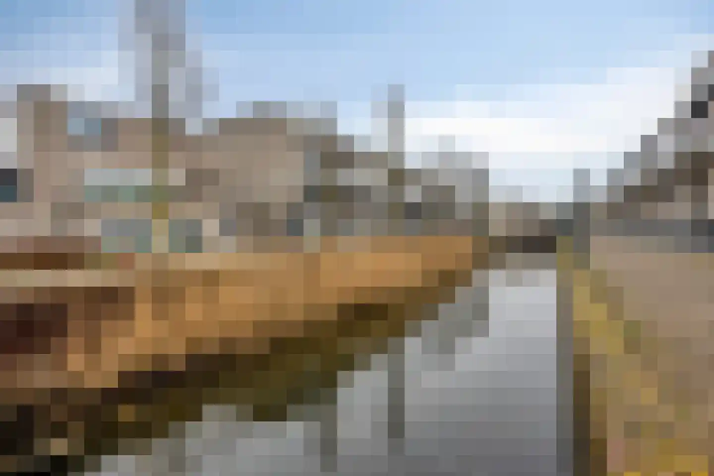 Floris Burgwal 75 Capelle aan den IJssel thumbnail 52