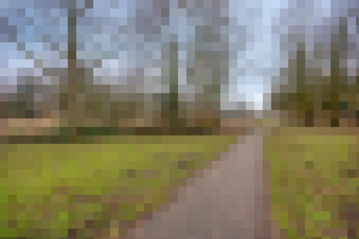 Floris Burgwal 75 Capelle aan den IJssel thumbnail 53