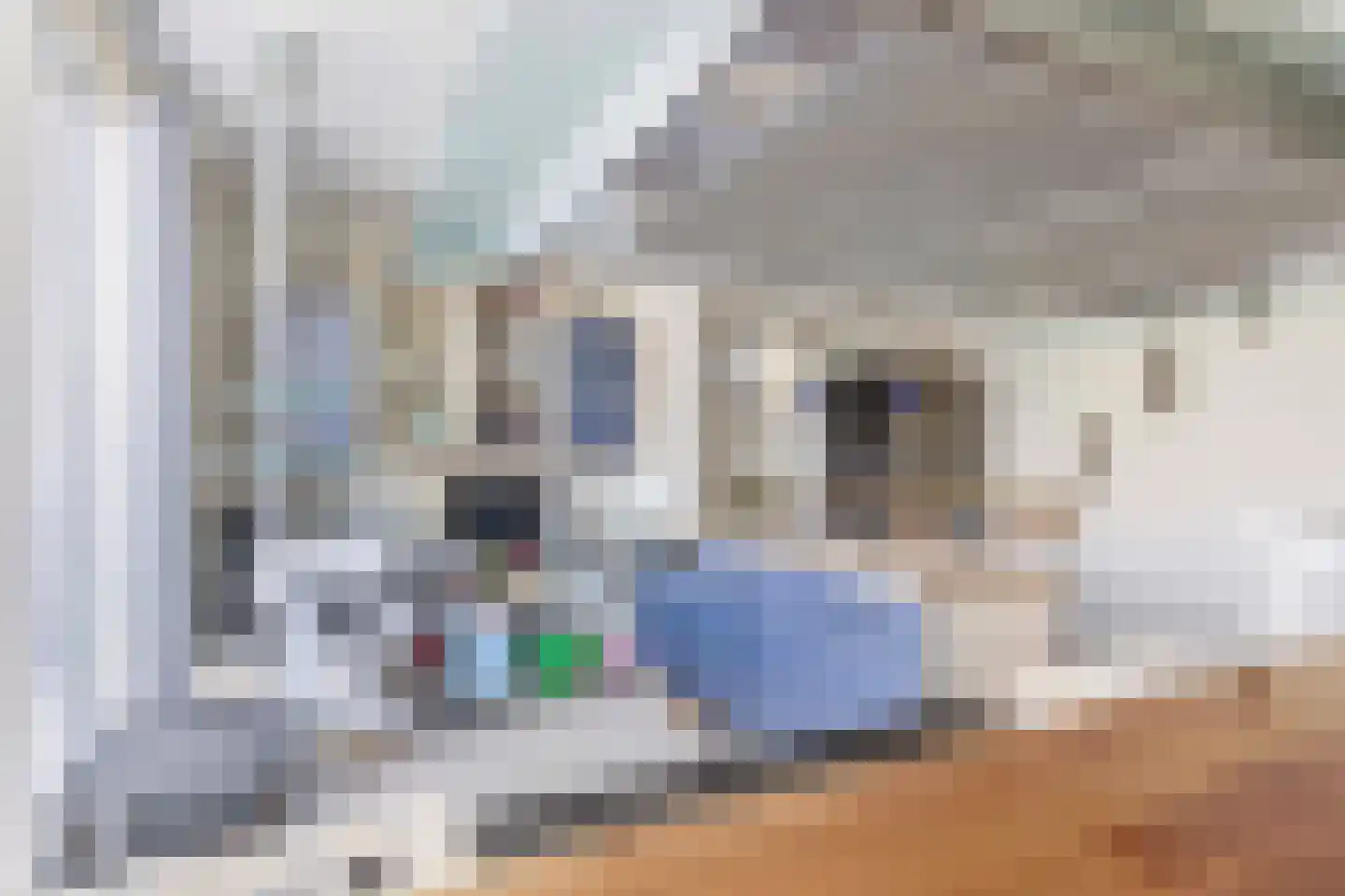 Floris Burgwal 84 Capelle aan den IJssel thumbnail 33