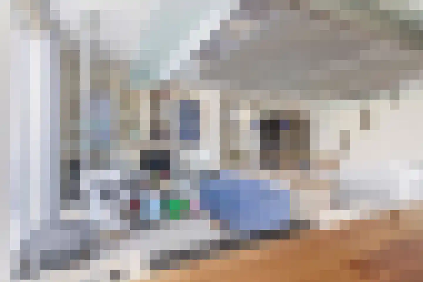 Floris Burgwal 84 Capelle aan den IJssel thumbnail 33
