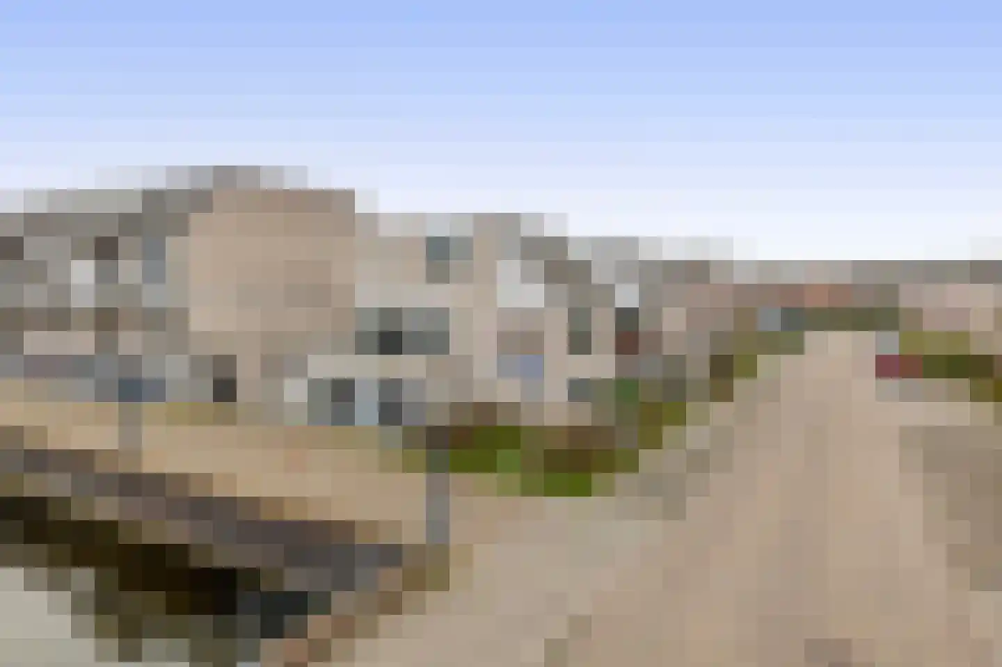 Floris Burgwal 84 Capelle aan den IJssel thumbnail 49