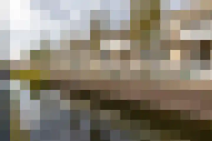 Floris Burgwal 95 Capelle aan den IJssel thumbnail 10