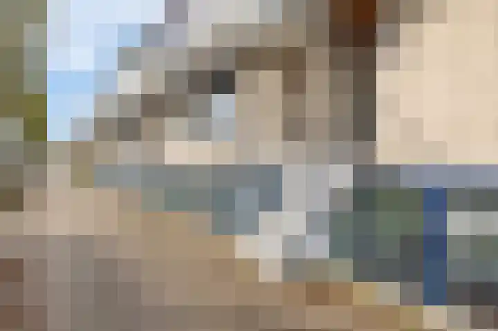 Floris Burgwal 95 Capelle aan den IJssel thumbnail 12