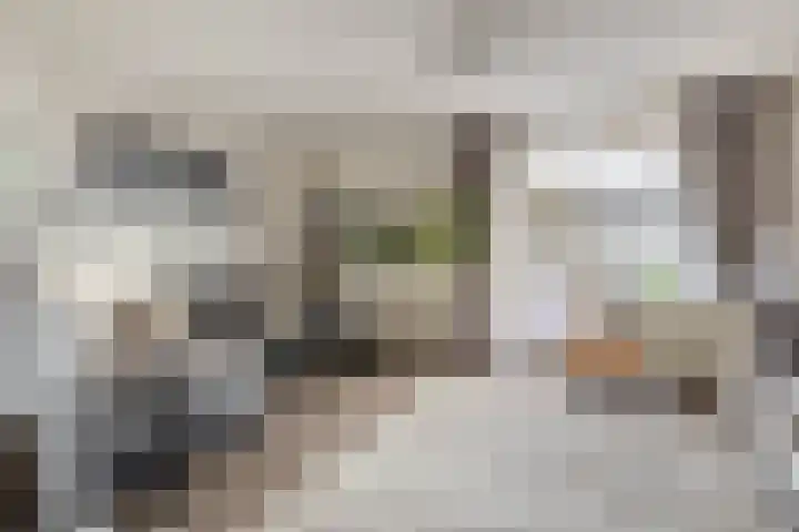 Floris Burgwal 95 Capelle aan den IJssel thumbnail 17