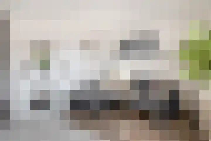 Floris Burgwal 95 Capelle aan den IJssel thumbnail 19