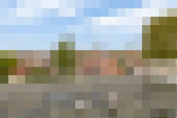 Floris Burgwal 95 Capelle aan den IJssel thumbnail 31