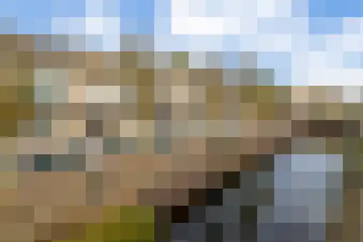 Floris Burgwal 95 Capelle aan den IJssel thumbnail 6