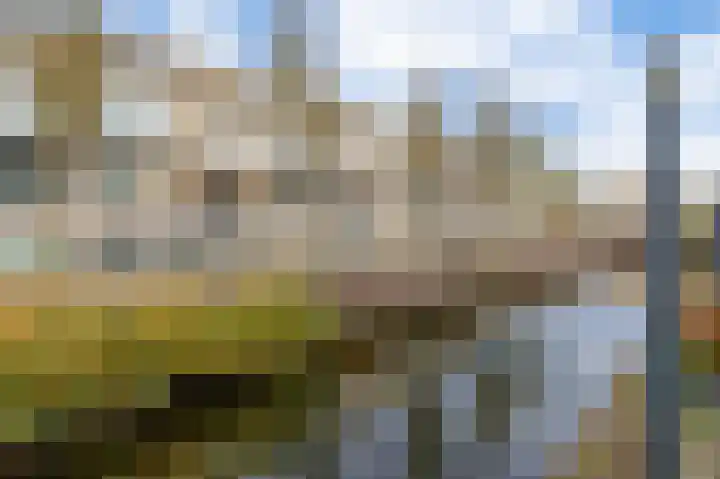 Floris Burgwal 95 Capelle aan den IJssel thumbnail 7