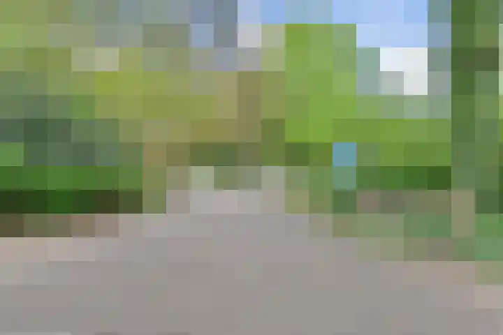 Floris Grijpstraat 23 Den Haag thumbnail 32