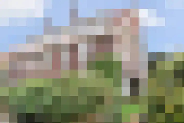 Floris Grijpstraat 23 Den Haag thumbnail 41