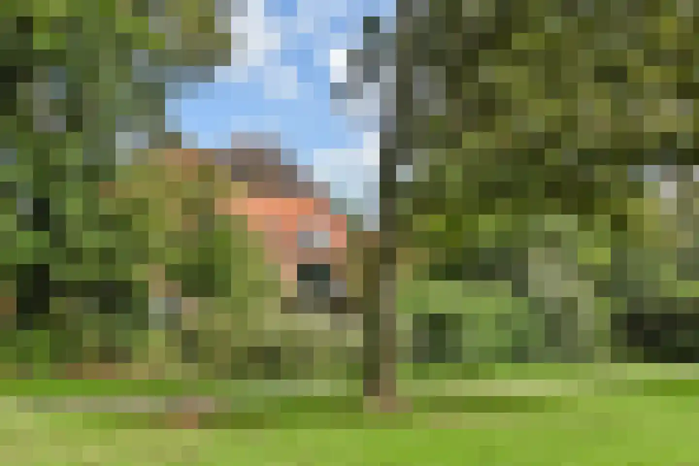 Floris Grijpstraat 30 B Den Haag thumbnail 23