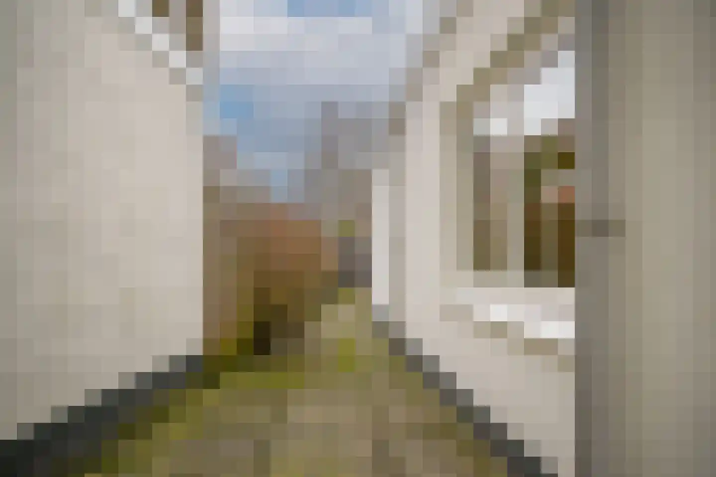 Floris Heermalestraat 6 Utrecht thumbnail 26