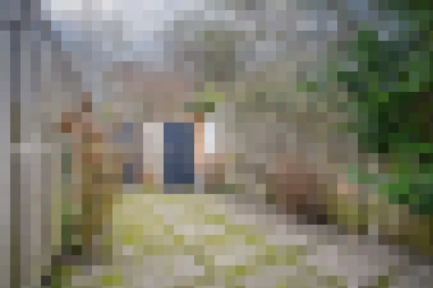 Floris Heermalestraat 6 Utrecht thumbnail 31