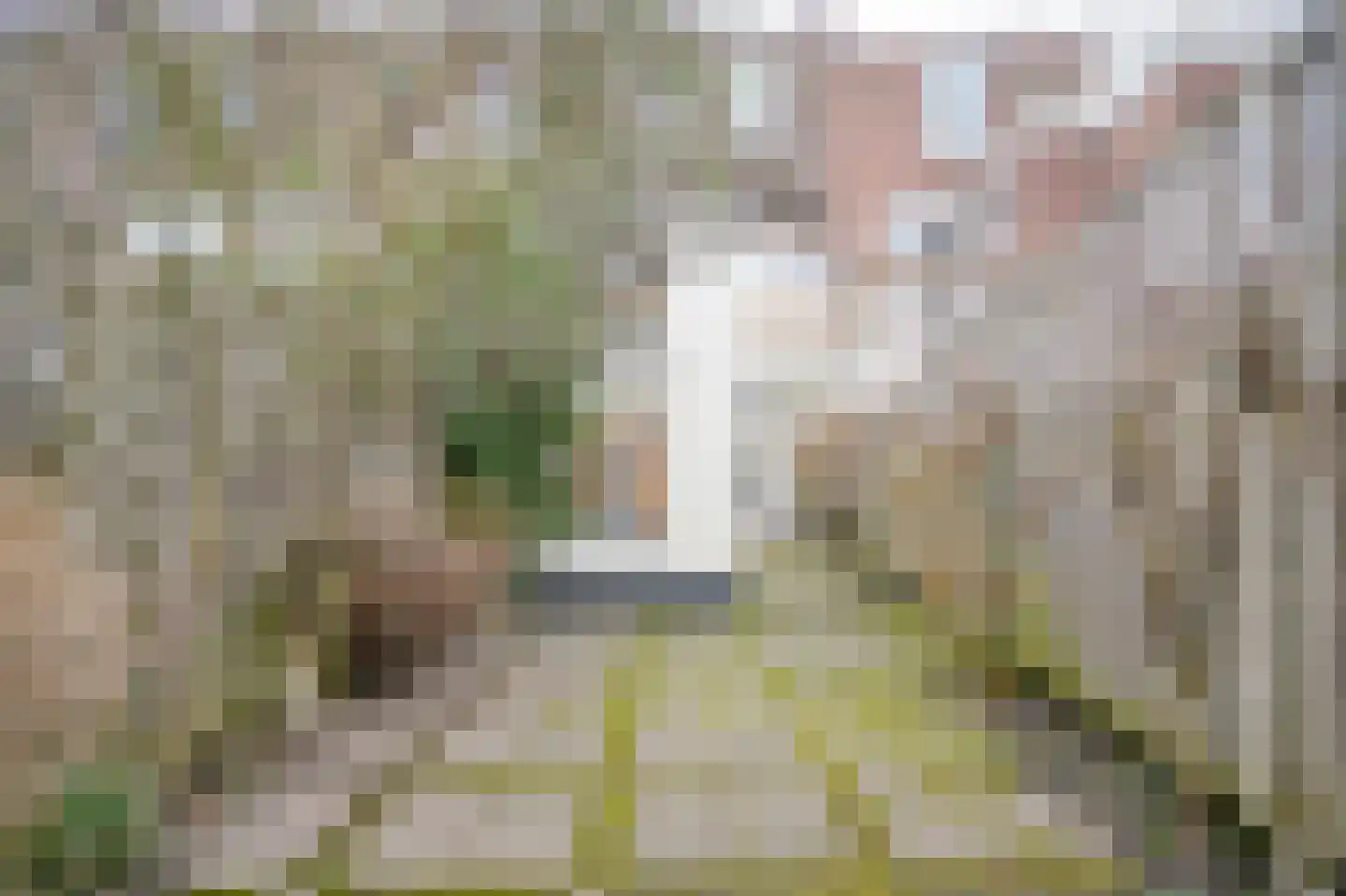 Floris Heermalestraat 6 Utrecht thumbnail 4