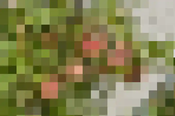 Floris Schoutenstraat 14 Sassenheim thumbnail 27